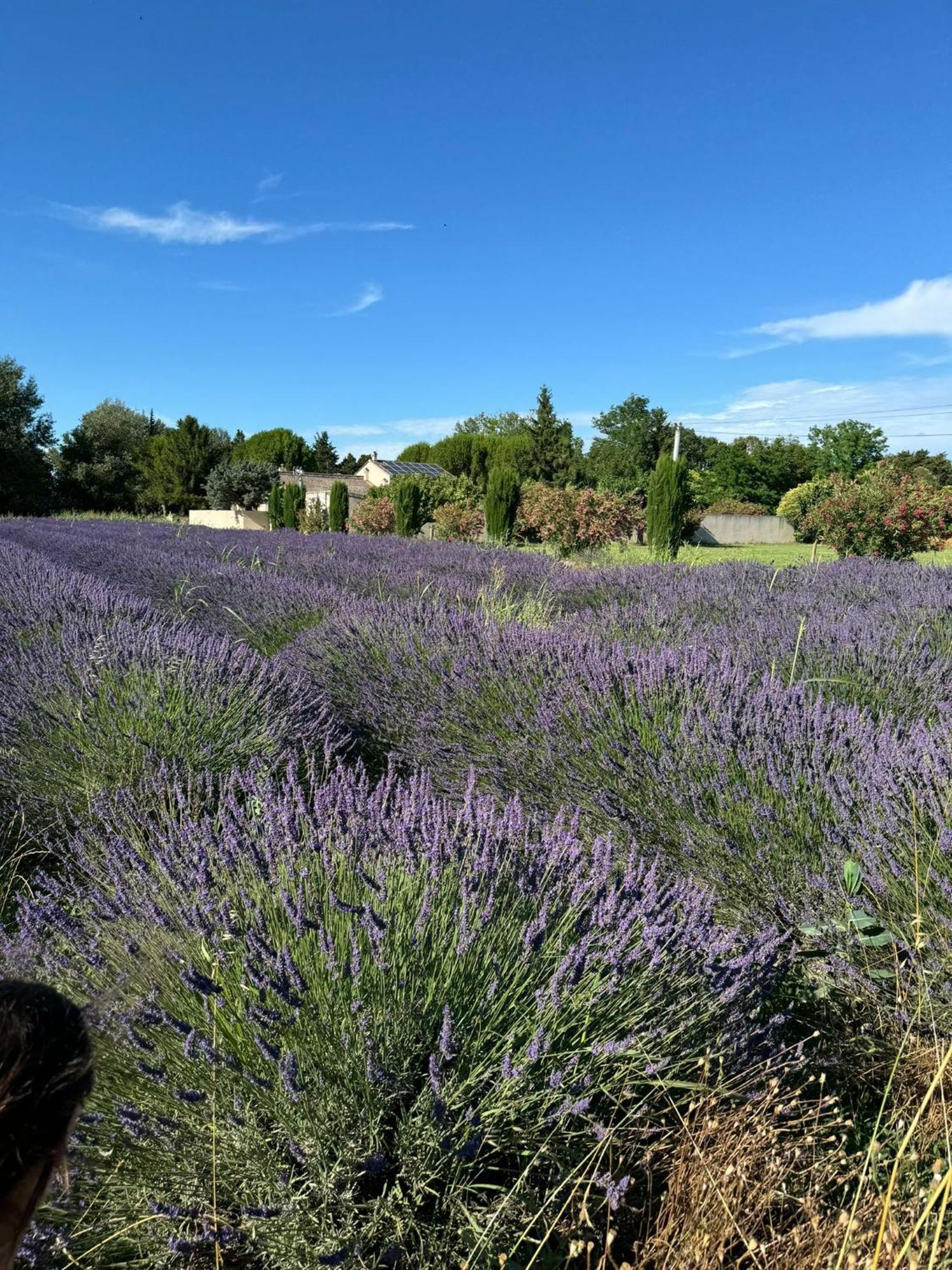 Appartement Neuf Et Au Calme Proche Avignon Althen-des-Paluds Exterior foto